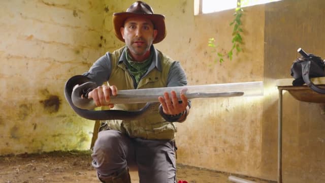 S09:E06 - Black Mamba: World's Deadliest Snake Rescue / APU Ranger Challenge