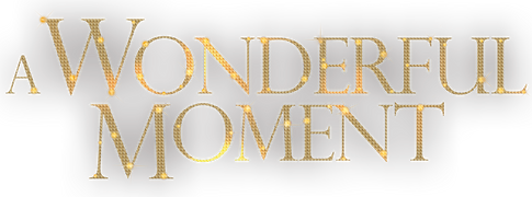 A Wonderful Moment