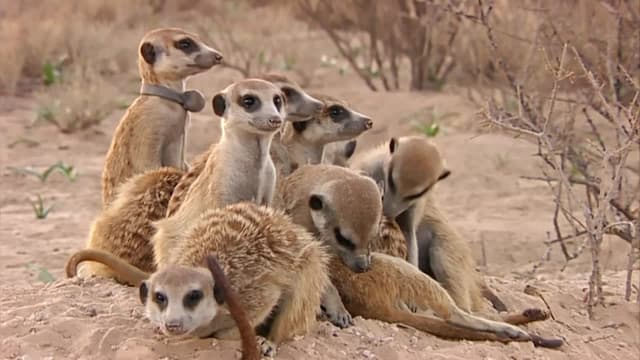 S01:E02 - Love Thy Neighbour