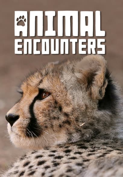 S01:E07 - Marine Life