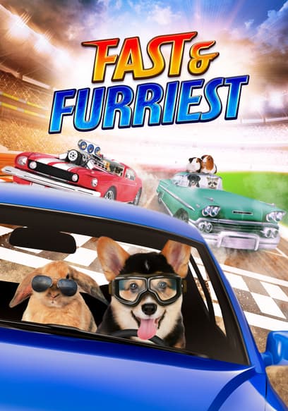 Fast & Furriest