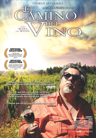 El Camino del Vino poster