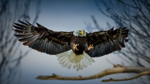 S01:E07 - Anticipado