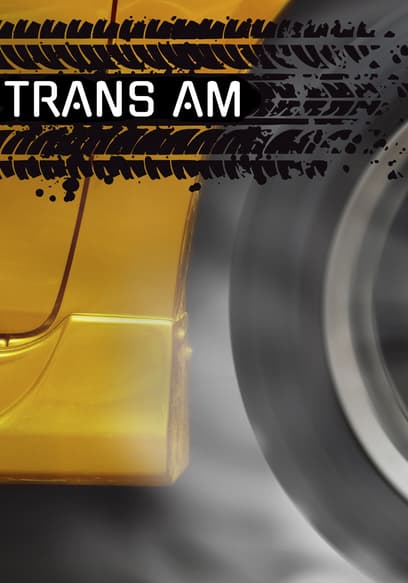 S01:E01 - The Bandit Is Back