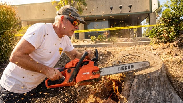 S01:E11 - Chainsaw Beekeeper: Unprotected