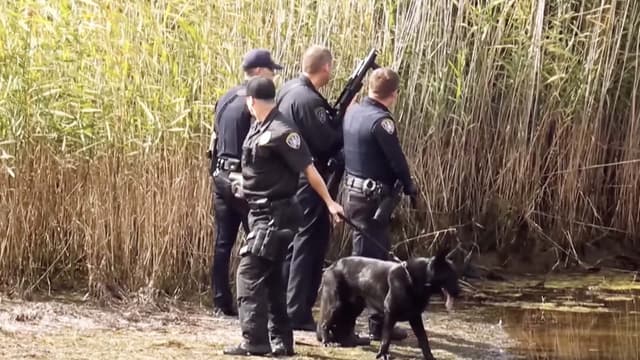 S01:E11 - Episode 11