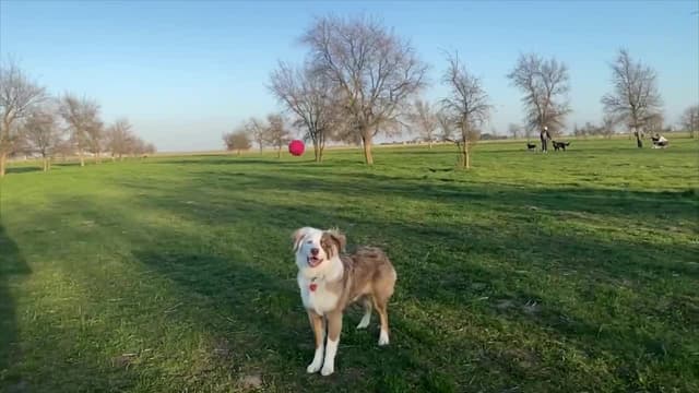 S01:E05 - Top 10 Times You Wondered How They Got Their Head Stuck in There