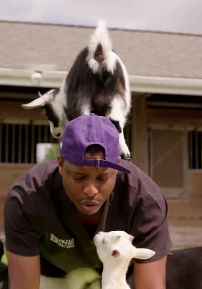 S04:E08 - Yogi Goat poster