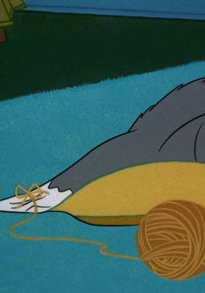 S01:E06 - Jerry Jerry Quite Contrary / Love Me Love My Mouse / Matinee Mouse poster
