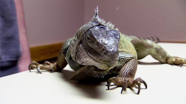 S01:E02 - Whatever It Takes