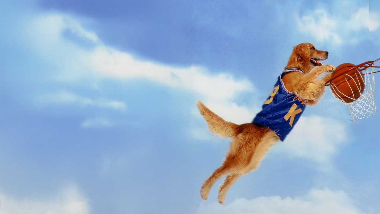 Watch Air Bud