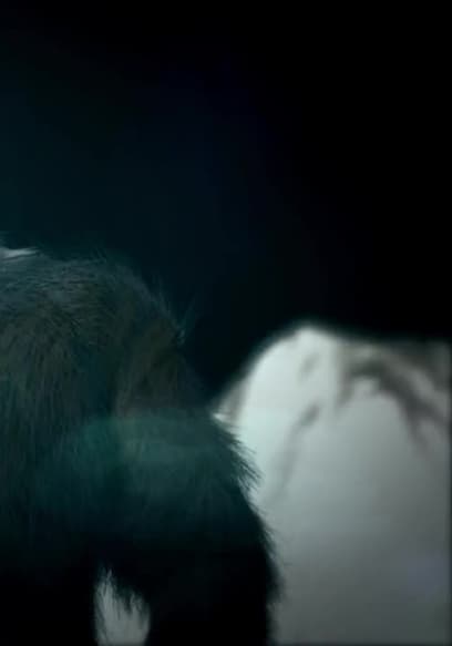 S01:E01 - Central Alaska's Bigfoot poster