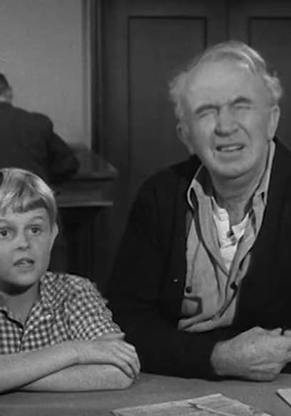 S01:E14 - Grampa and the Driver's License poster