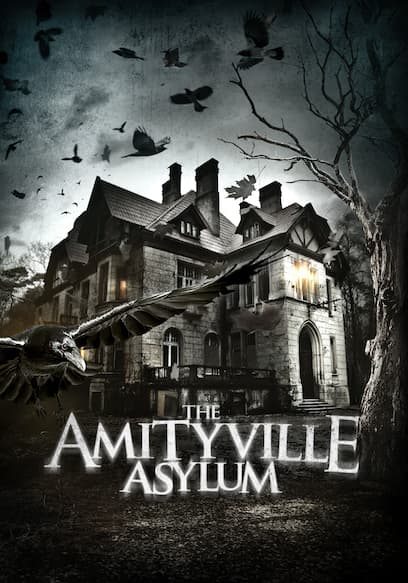 The Amityville Asylum