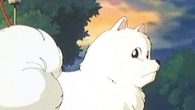 S01:E60 - Famous Dog Lassie's Cinderella Story