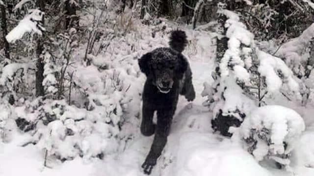 S02:E17 - Zombie Stomp