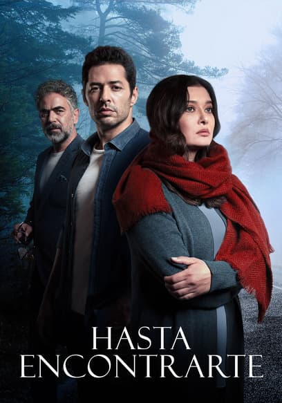 Hasta encontrarte poster