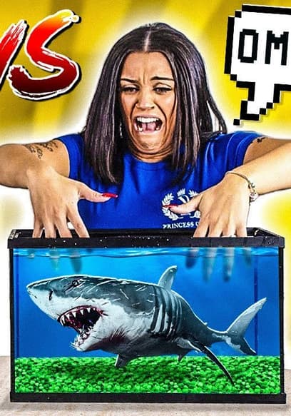 S01:E01 - What's in the Box Challenge poster
