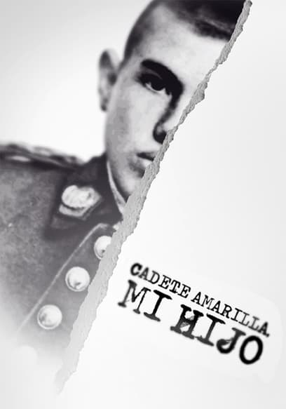 Cadete Amarilla, Mi Hijo