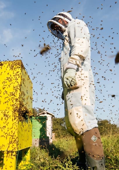 S01:E04 - The Day I Destroyed the Yellow Hive poster