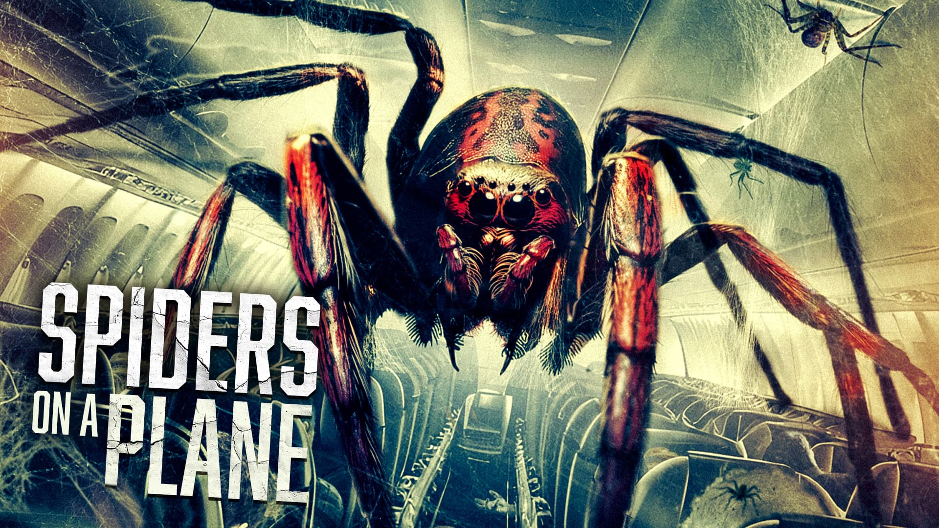 Spiders on a Plane (2024) poster