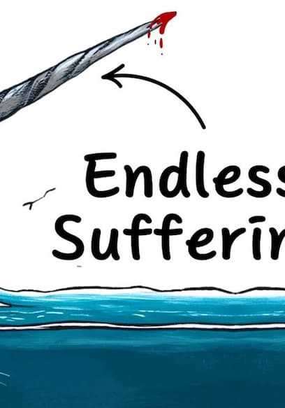 S01:E01 - Why It Sucks to Be Born as a Narwhal & as a Donkey poster