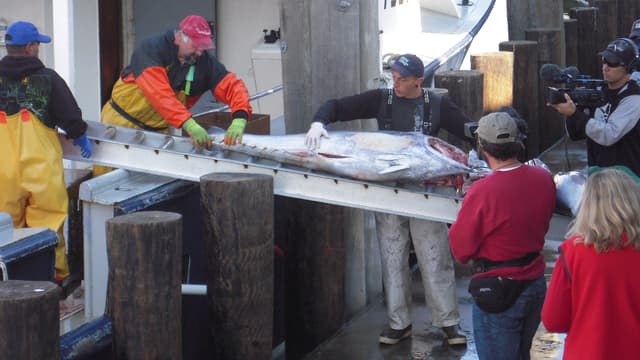 S01:E06 - Making Waves