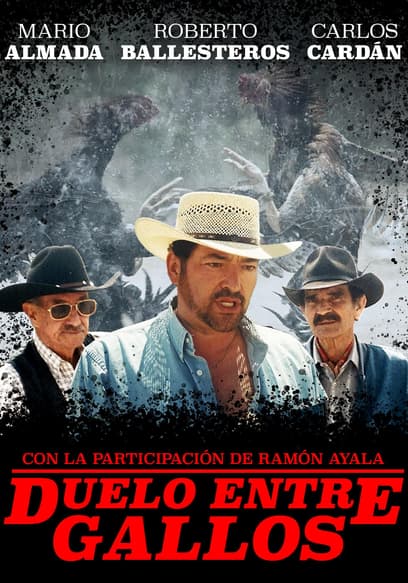 Duelo Entre Gallos