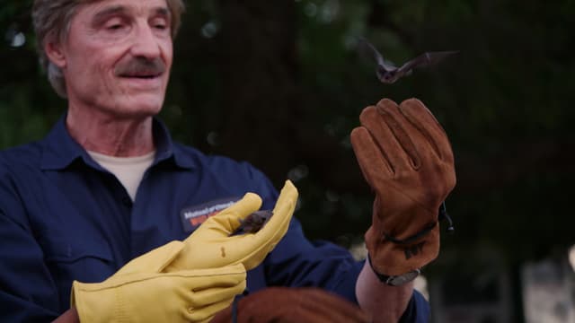 S01:E04 - The Bats of Texas