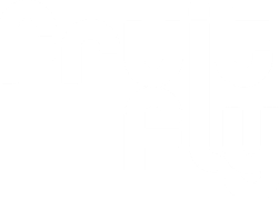 Fruit Fly