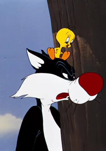 S07:E14 - The Hypo-Chondri-Cat / Home Tweet Home / Strife With Father poster