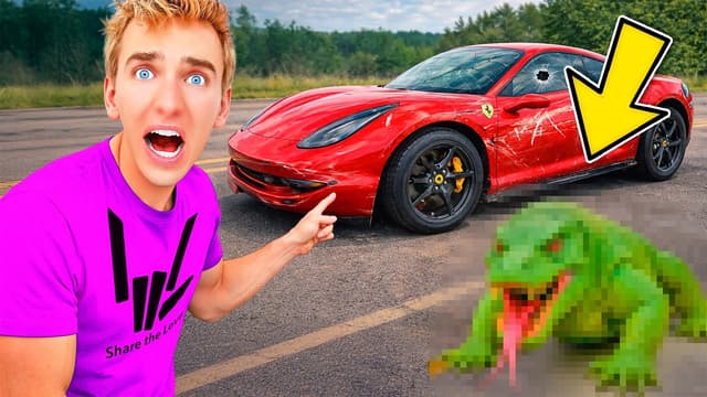 S01:E19 - Skunk Invades Stephen's Ferrari