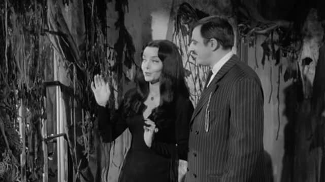 S02:E23 - Morticia, the Decorator