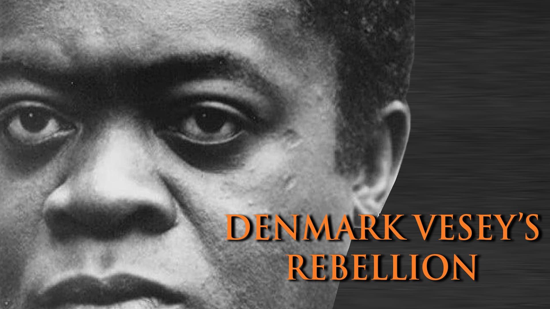 Denmark Vesey's Rebellion poster