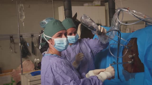 S01:E12 - Episode 12