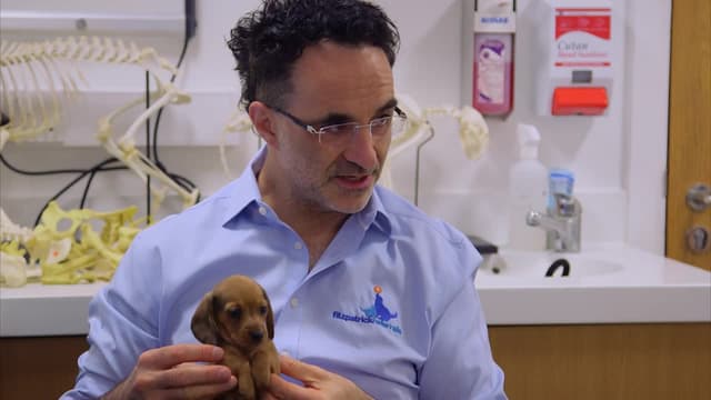 S03:E05 - Adam, Peggy, and Harvey