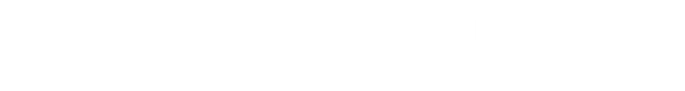 The Battle of San Pietro