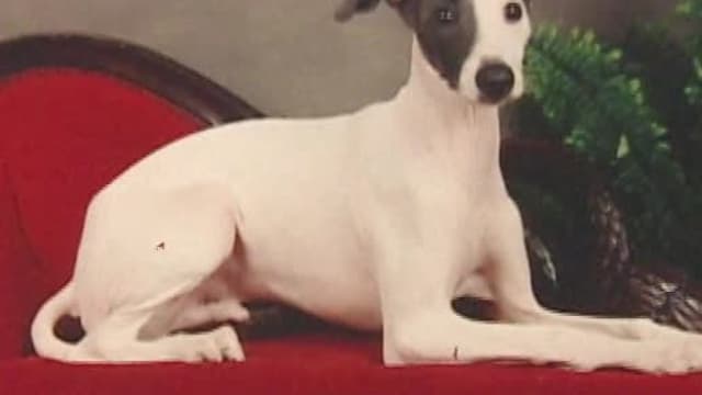 S01:E21 - Episode 21