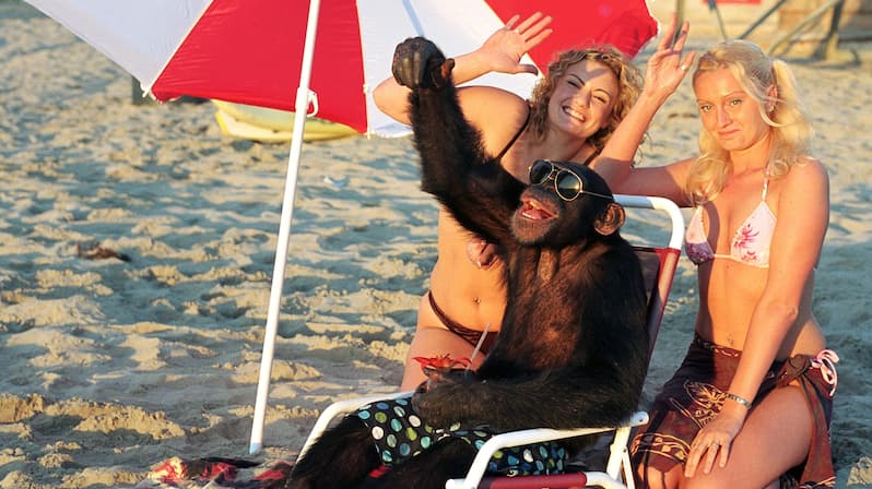 Watch Funky Monkey (2004) - Free Movies | Tubi