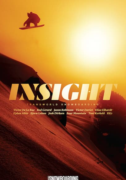Insight