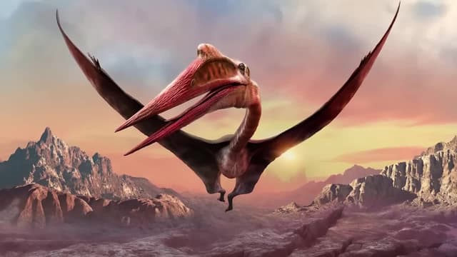 S03:E06 - Quetzalcoatlus: The Largest Flying Animal EVER to Live