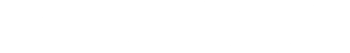 Bullets and Blueberries