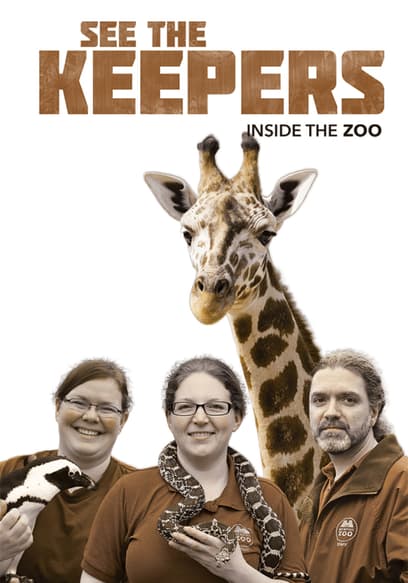 See the Keepers: Inside the Zoo