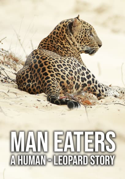 Man Eaters: A Human-Leopard Story