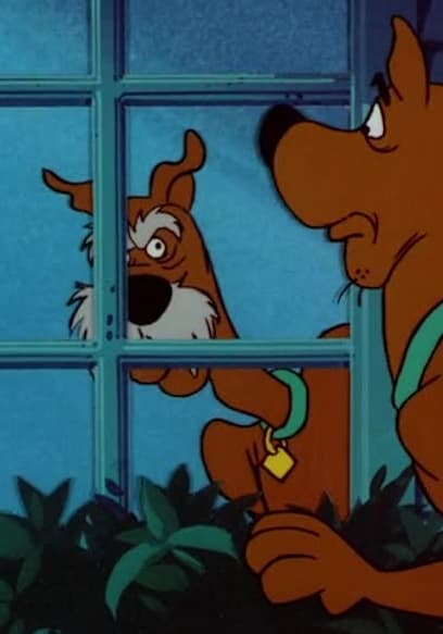 Watch Scooby-Doo and Scrappy-Doo S03:E01 - Scooby-Nocchio/Scooby's ...