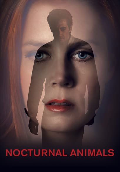 Nocturnal Animals (International Version)