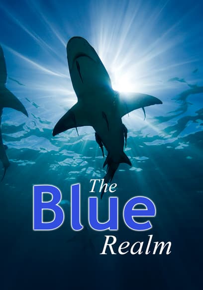 Ocean Odyssey: The Blue Realm