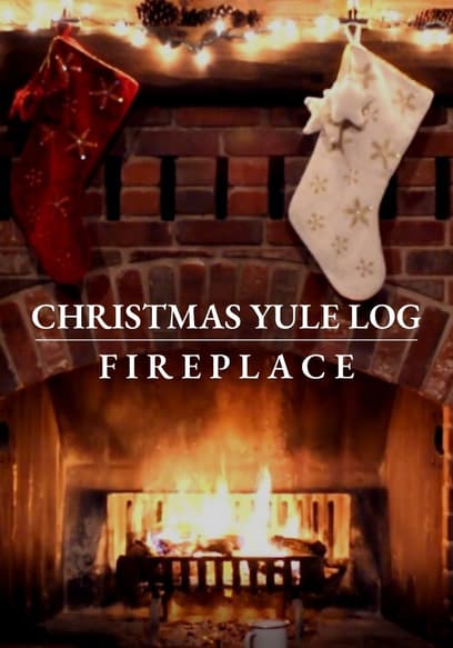 S02:E05 - Christmas Puppies
