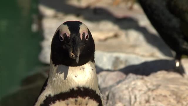 S01:E06 - Birthday Girl