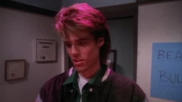 S01:E17 - Love Stinks